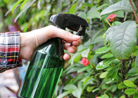 Le jet cosmétique de jardin de ménage met les bouteilles en bouteille vides de jet de parfum