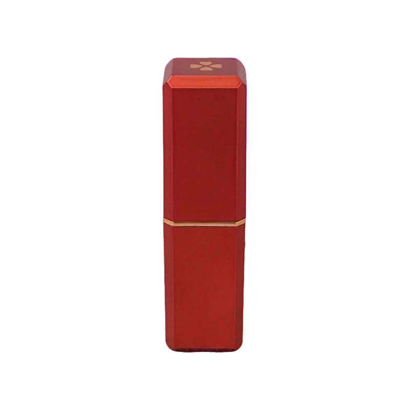 Emballage cosmétique de paille de blé Tubes de rouge à lèvres avec logo et couvercle personnalisables